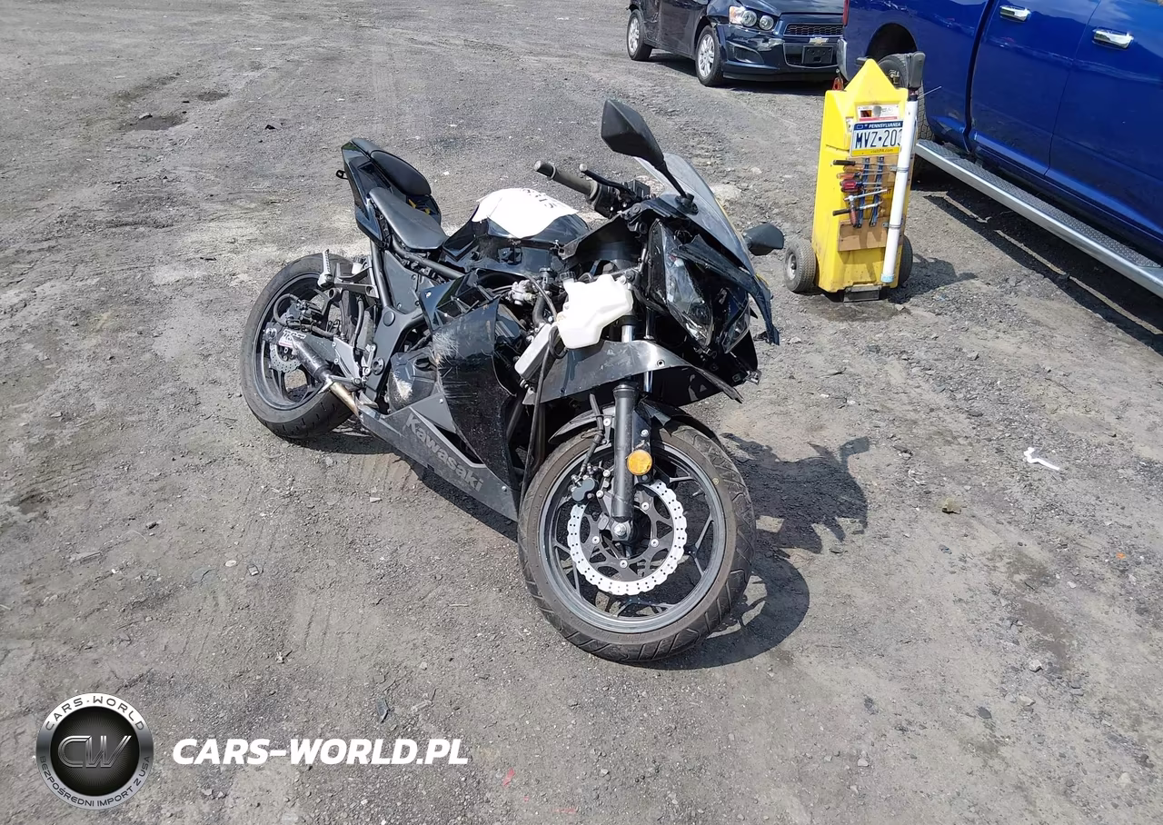 2014 Kawasaki Ex300 A – zdjęcie 1 z 13
