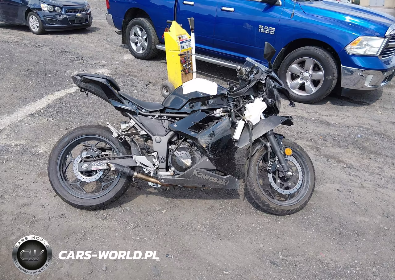 2014 Kawasaki Ex300 A VIN:JKAEX8A1XEA002017 - 12