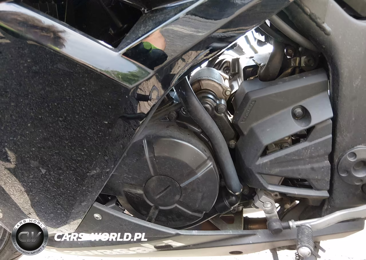 2014 Kawasaki Ex300 A VIN:JKAEX8A1XEA002017 - 9