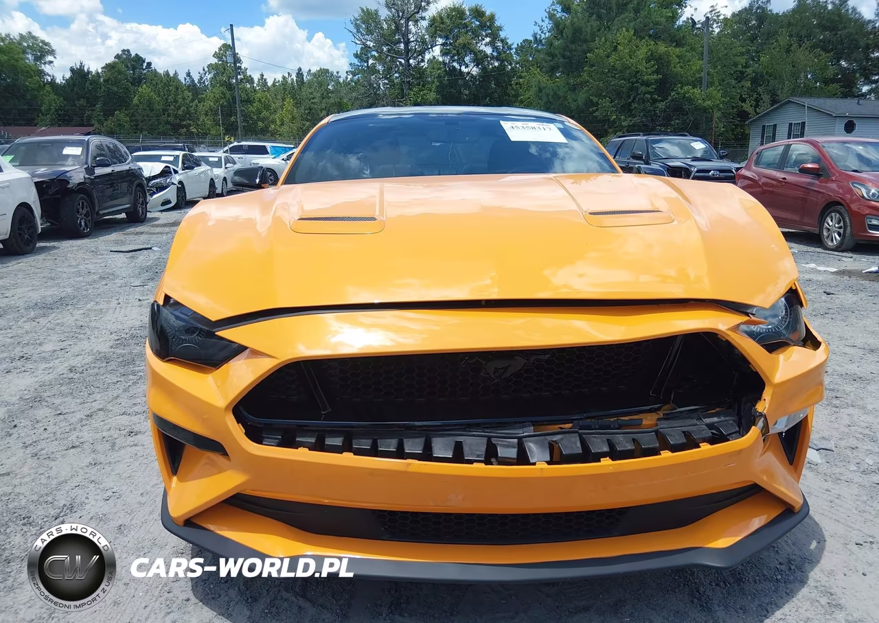 2019 Ford Mustang Gt Premium VIN:1FA6P8CF4K5156977 - 12