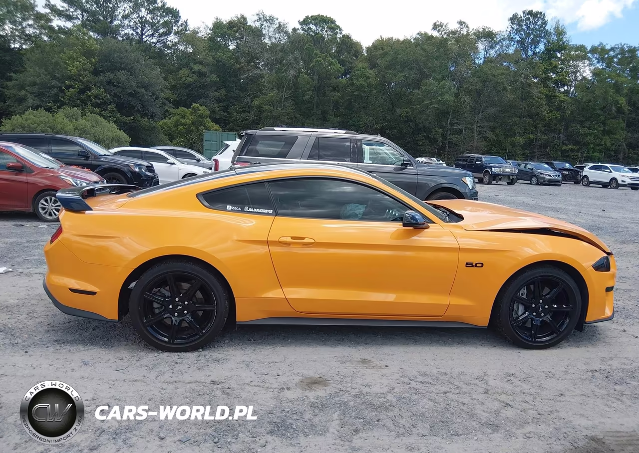 2019 Ford Mustang Gt Premium VIN:1FA6P8CF4K5156977 - 13