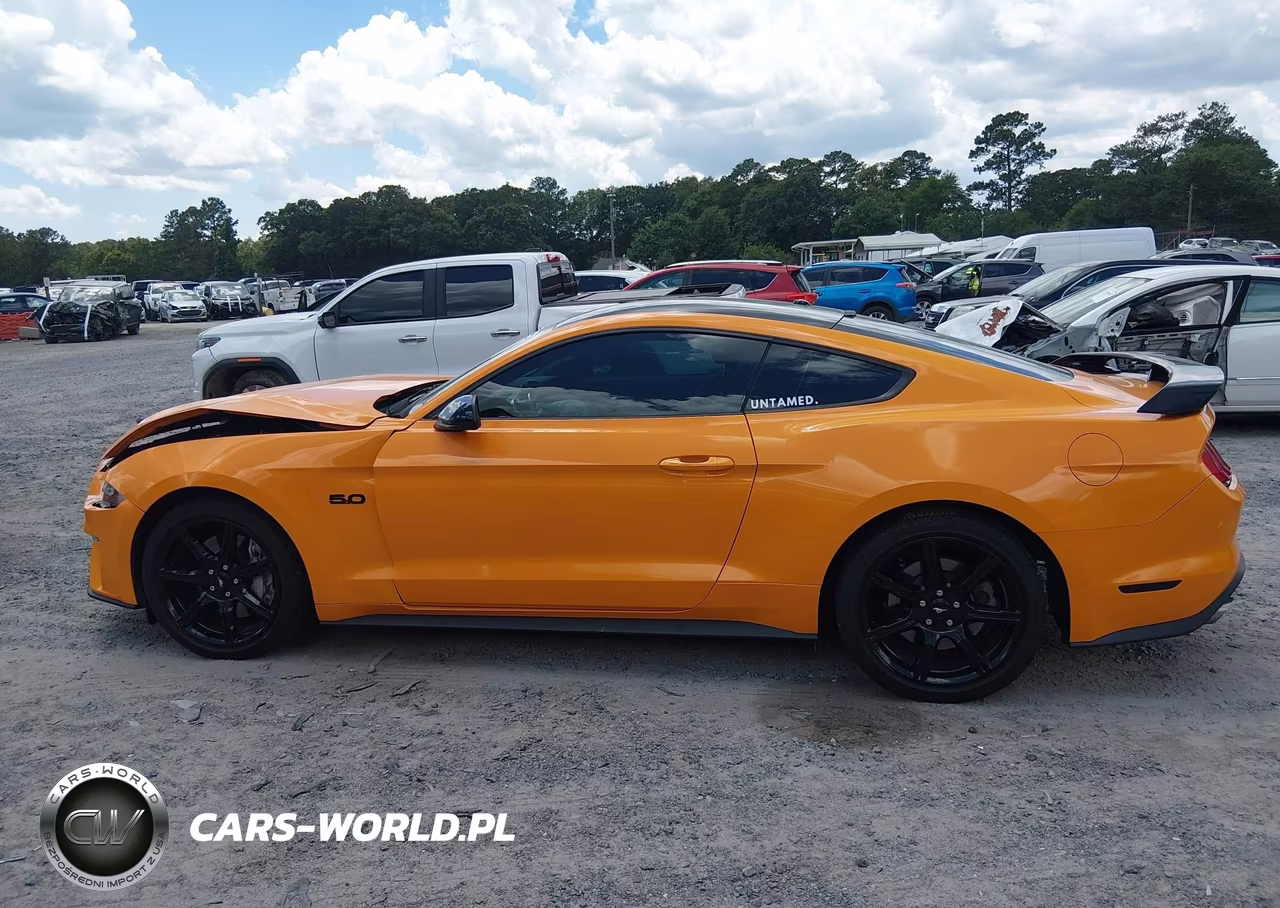 2019 Ford Mustang Gt Premium VIN:1FA6P8CF4K5156977 - 14