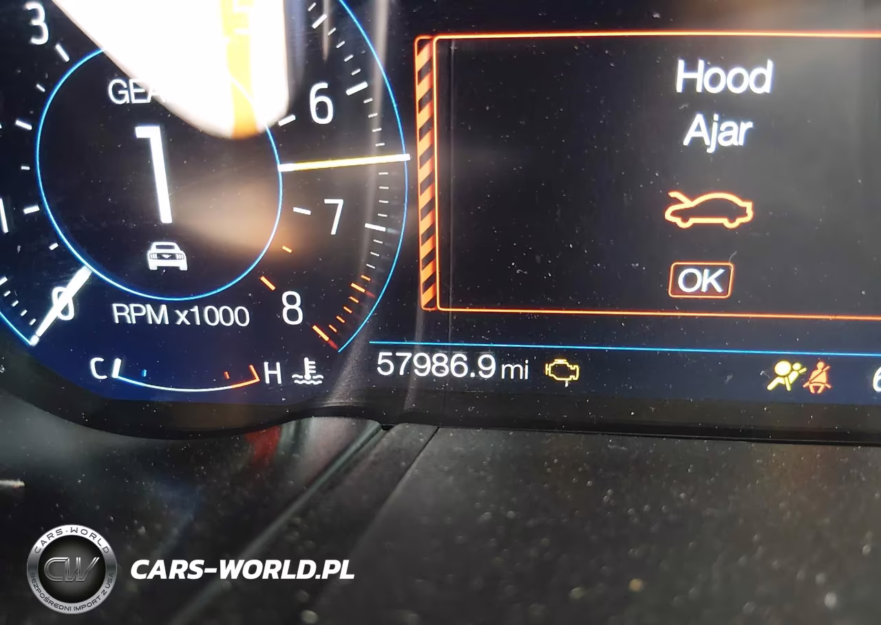 2019 Ford Mustang Gt Premium VIN:1FA6P8CF4K5156977 - 15