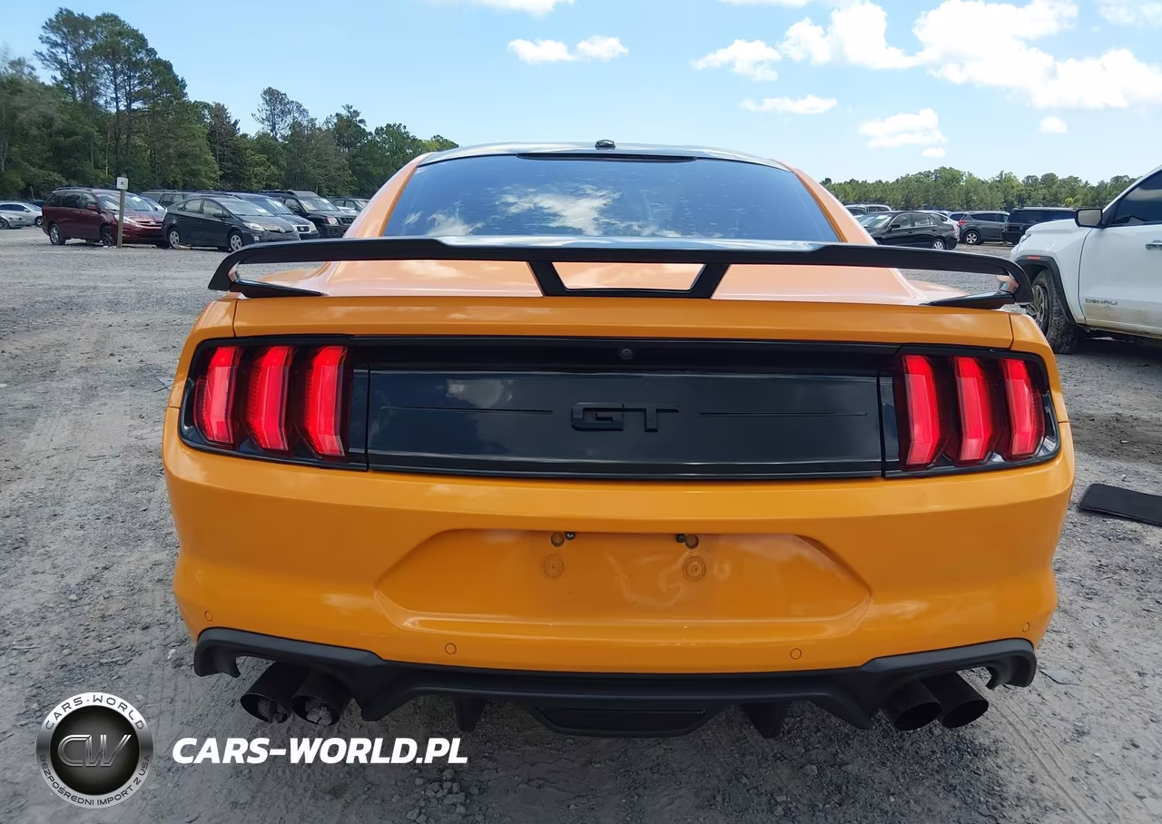 2019 Ford Mustang Gt Premium VIN:1FA6P8CF4K5156977 - 16