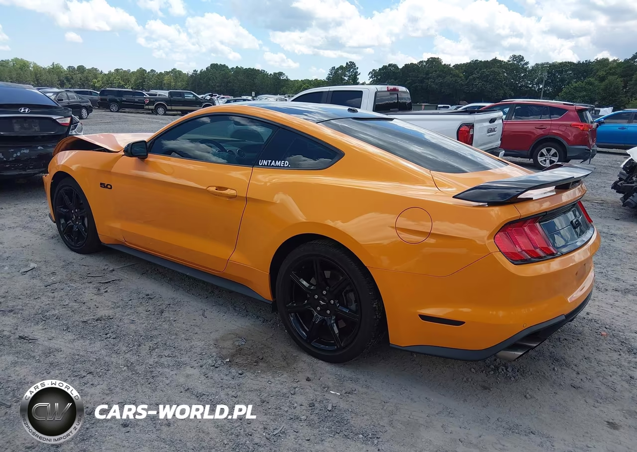 2019 Ford Mustang Gt Premium VIN:1FA6P8CF4K5156977 - 3