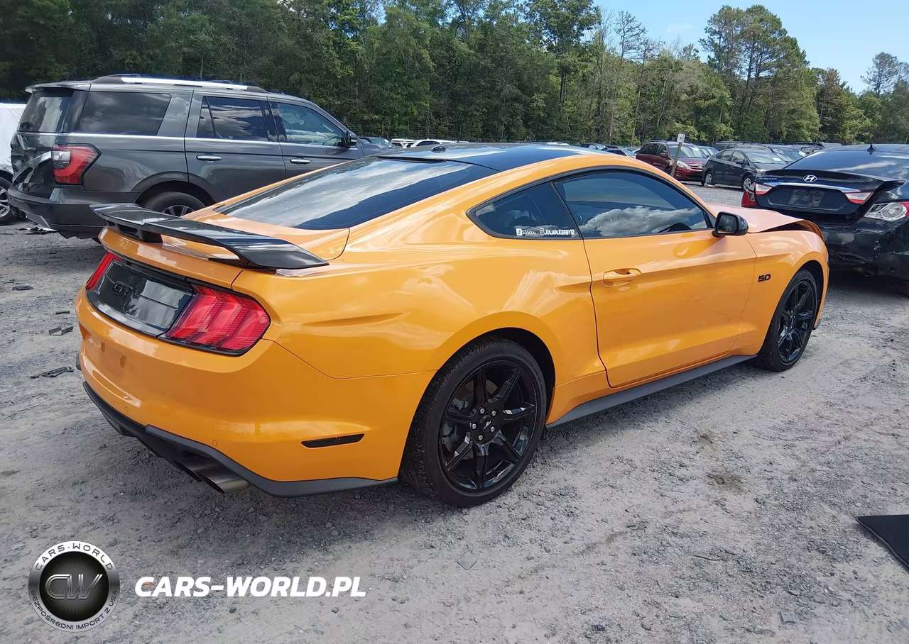 2019 Ford Mustang Gt Premium VIN:1FA6P8CF4K5156977 - 4
