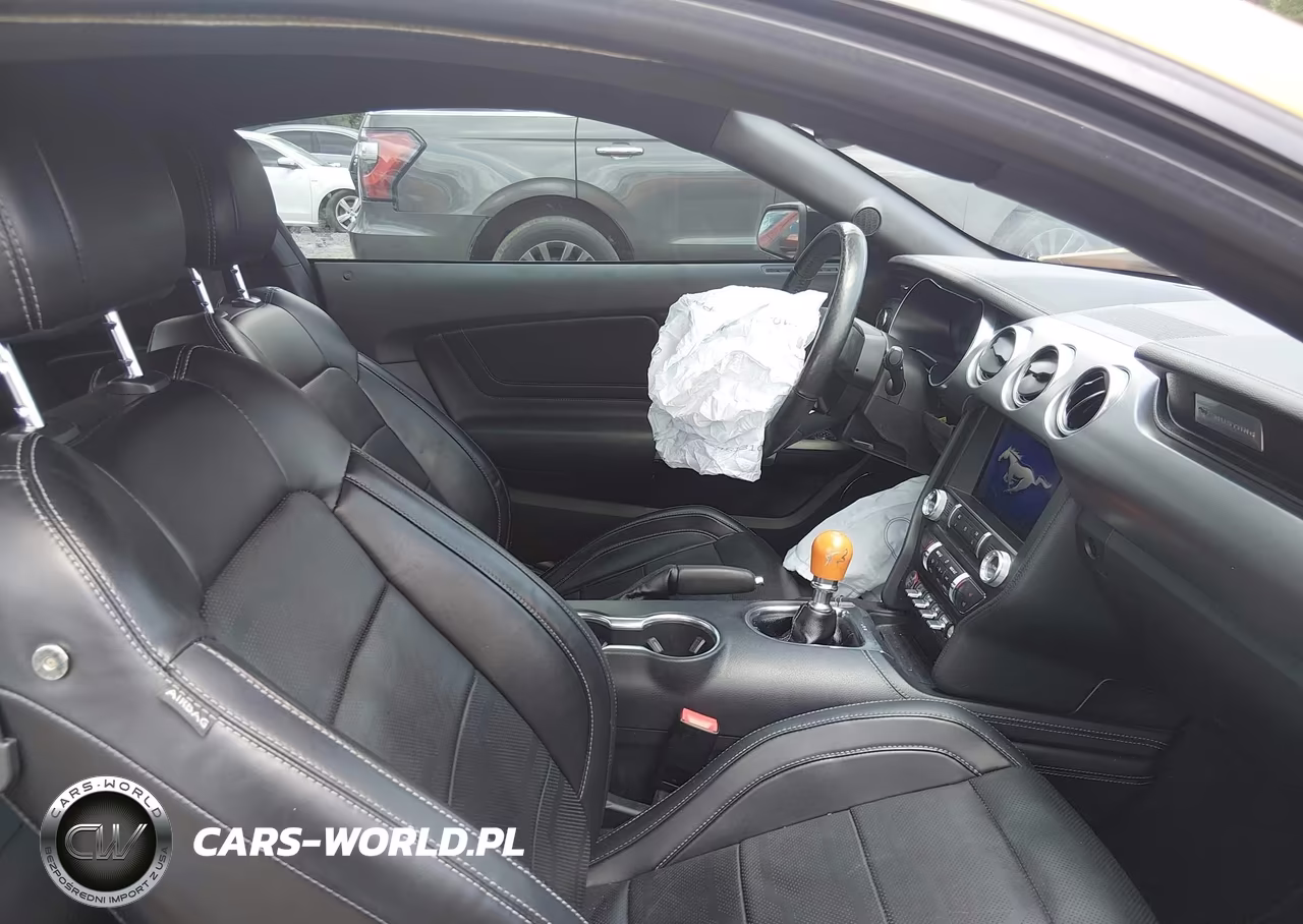 2019 Ford Mustang Gt Premium VIN:1FA6P8CF4K5156977 - 5