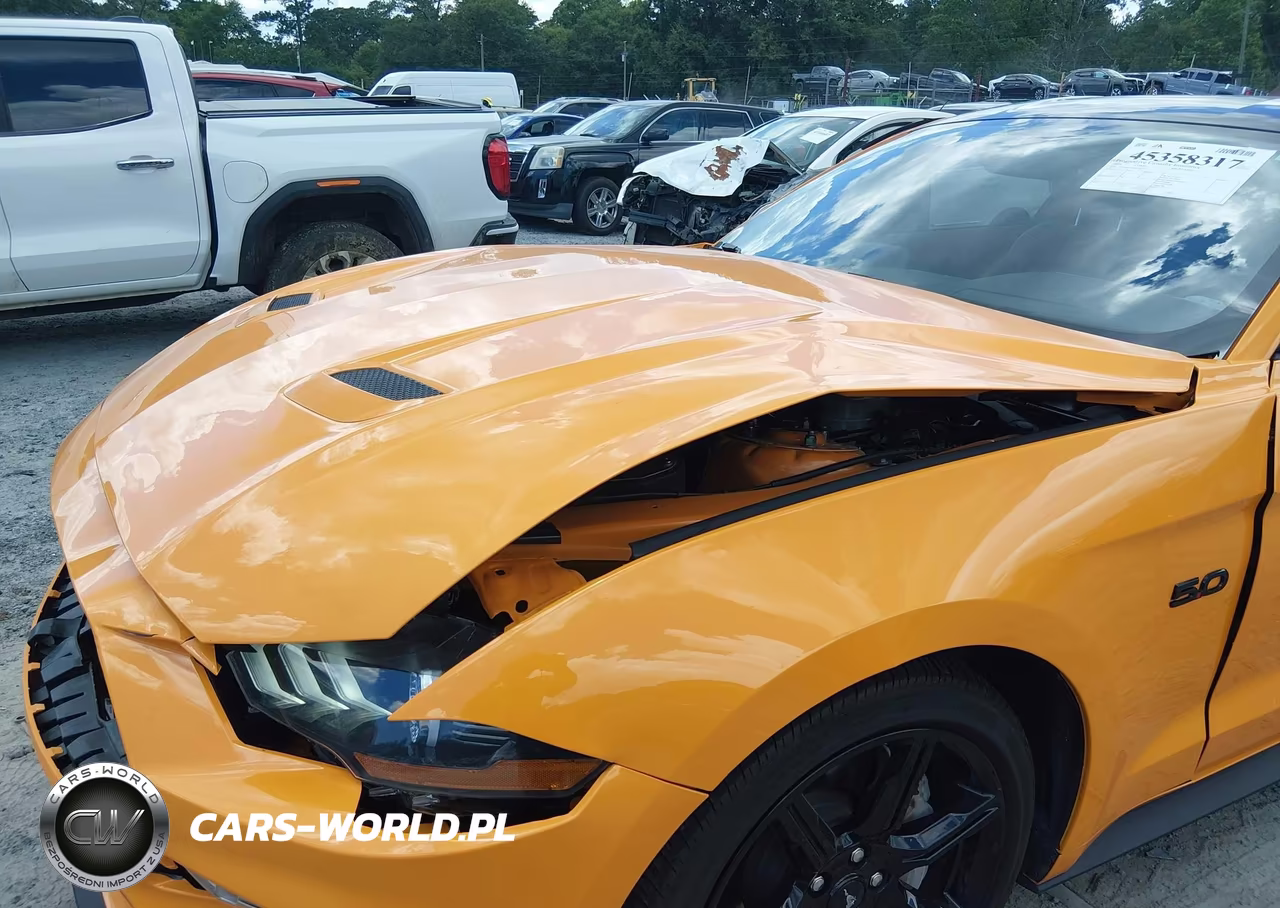 2019 Ford Mustang Gt Premium VIN:1FA6P8CF4K5156977 - 6