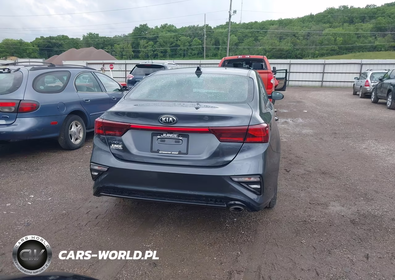 2020 Kia Forte Lxs VIN:3KPF24ADXLE239094 - 17