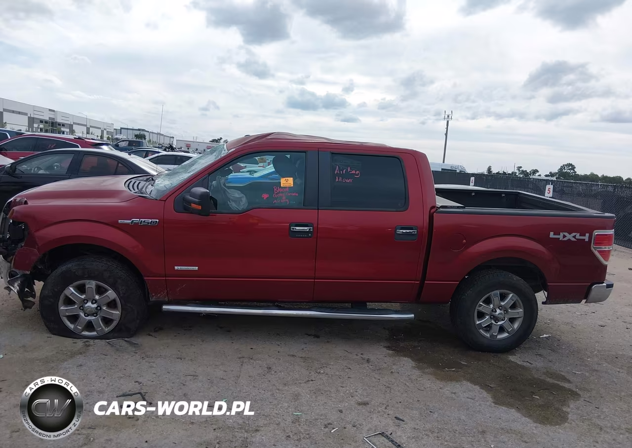 2013 Ford F-150 Xlt VIN:1FTFW1ETXDKD53342 - 13