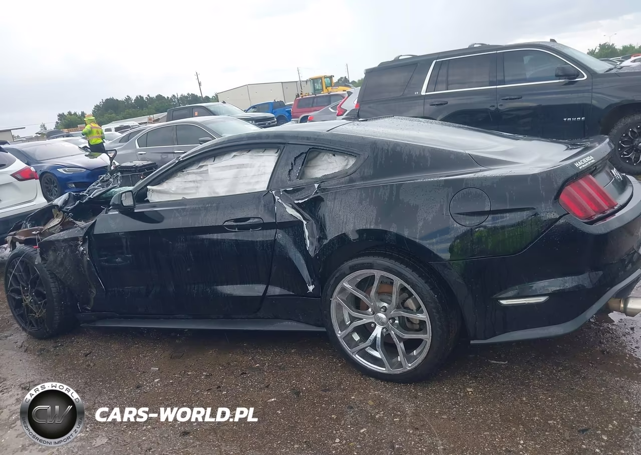 2020 Ford Mustang Ecoboost Fastback VIN:1FA6P8TH4L5169828 - 13