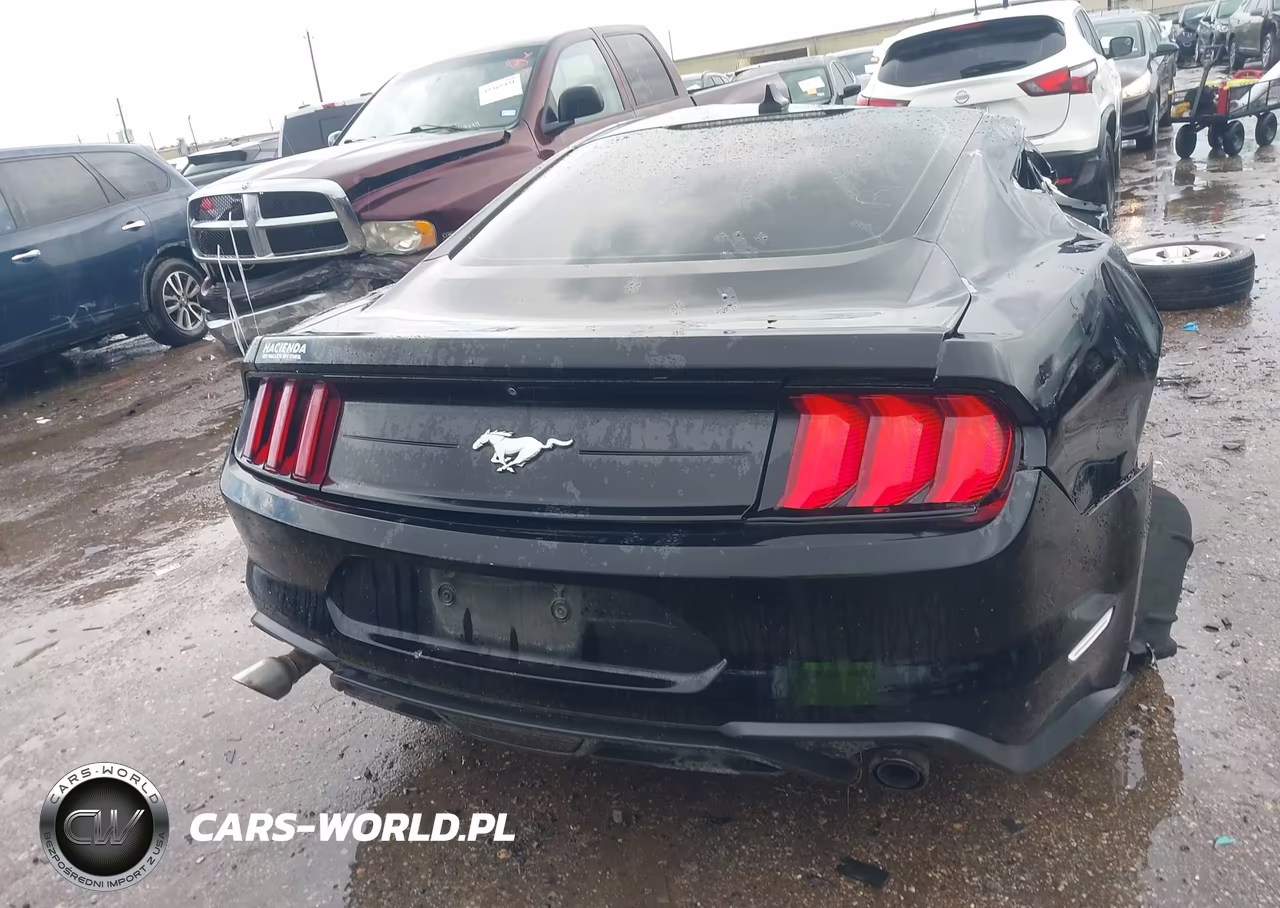 2020 Ford Mustang Ecoboost Fastback VIN:1FA6P8TH4L5169828 - 15
