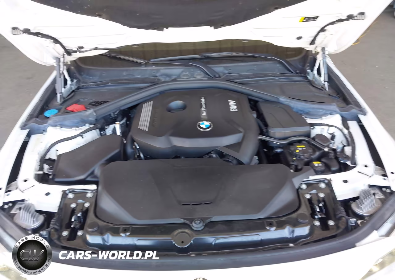 2019 BMW 430I Gran Coupe VIN:WBA4J1C52KBM16096 - 10
