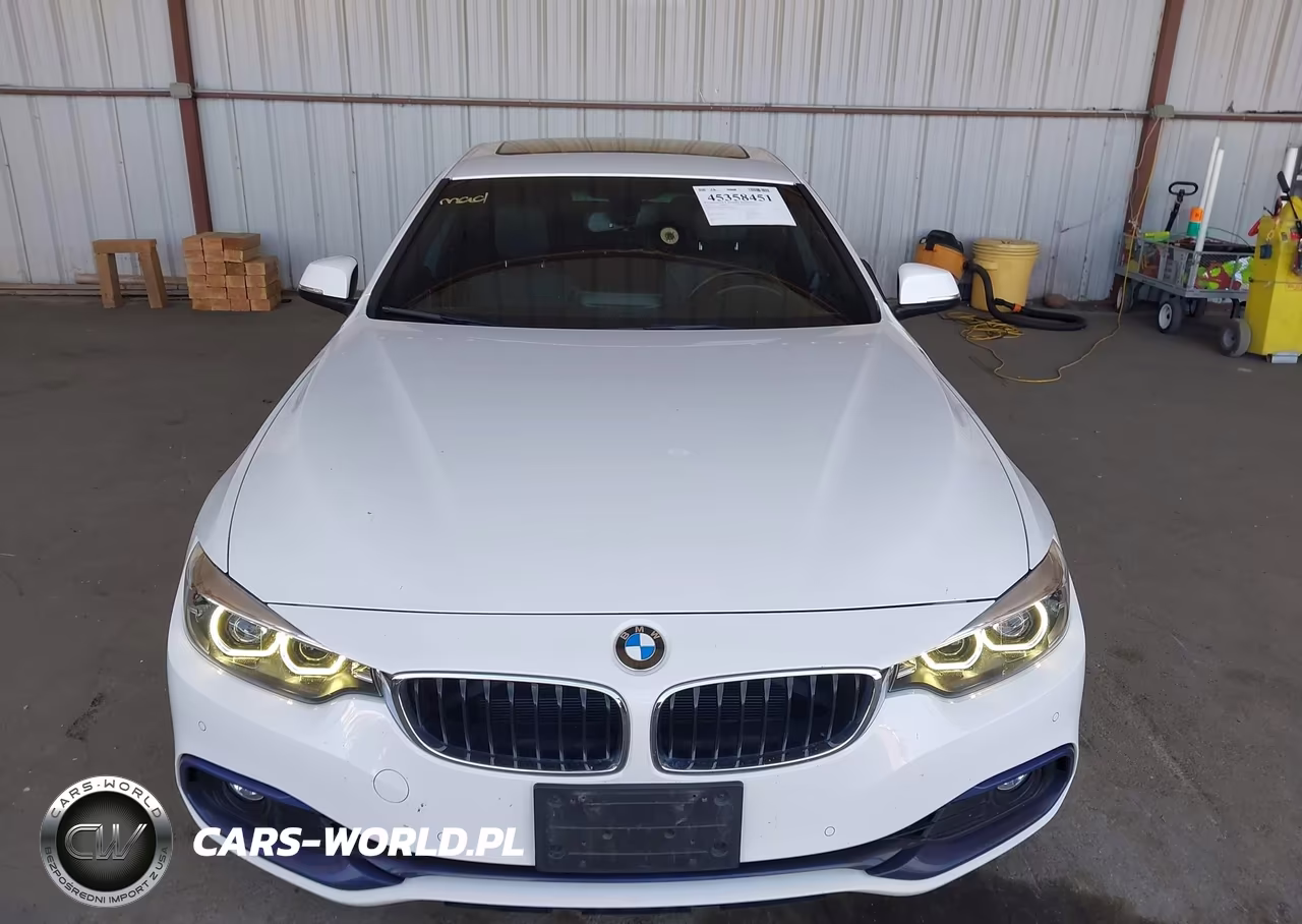2019 BMW 430I Gran Coupe VIN:WBA4J1C52KBM16096 - 13