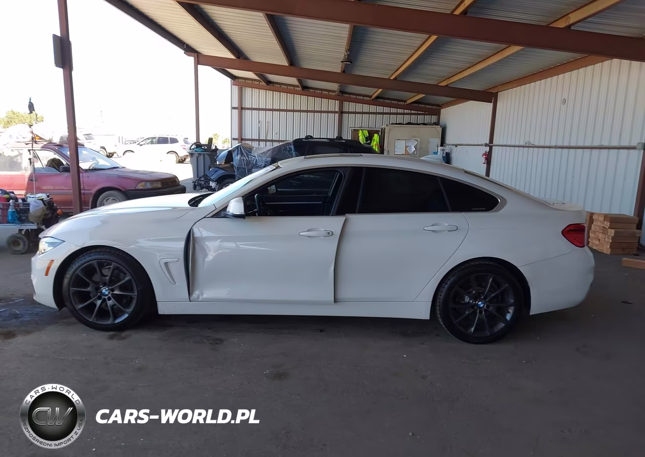 2019 BMW 430I Gran Coupe VIN:WBA4J1C52KBM16096 - 15