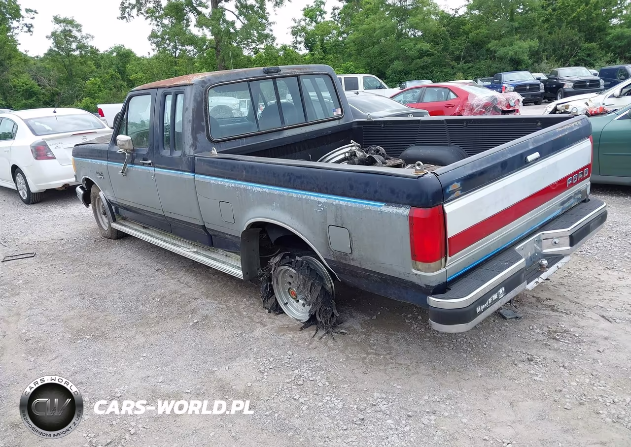 1990 Ford F150 VIN:1FTEX15N1LKA77299 - 3