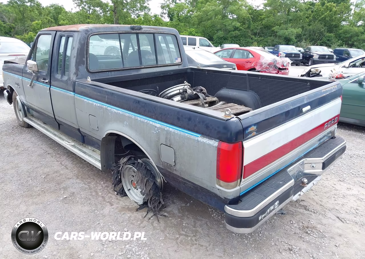 1990 Ford F150 VIN:1FTEX15N1LKA77299 - 6