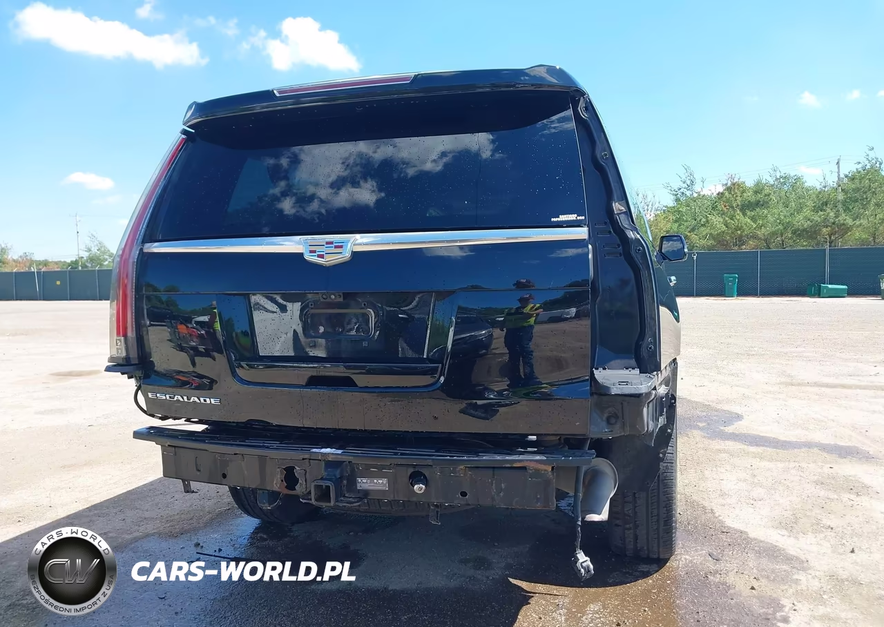 2018 Cadillac Escalade Esv Luxury VIN:1GYS4HKJ2JR194233 - 18