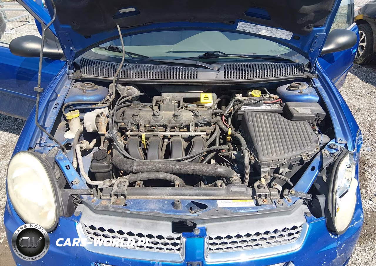 2005 Dodge Neon Sxt VIN:1B3ES56C65D278448 - 10