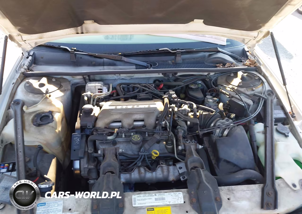1998 Chevrolet Lumina VIN:2G1WL52MXW9123035 - 10