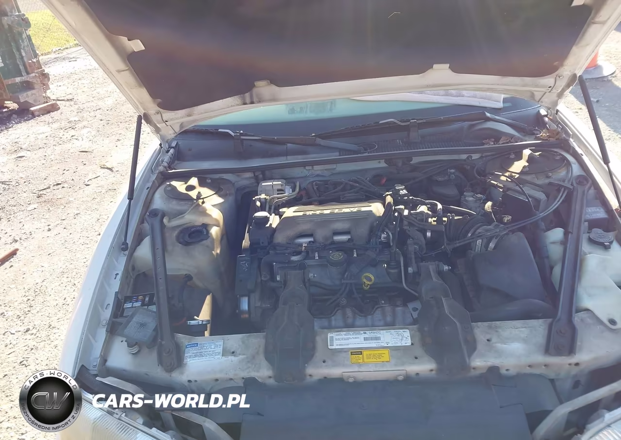 1998 Chevrolet Lumina VIN:2G1WL52MXW9123035 - 6