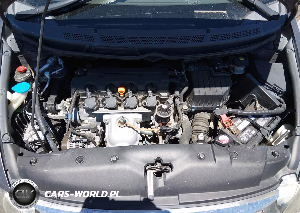 2010 Honda Civic Lx VIN:19XFA1F58AE007965 - 10