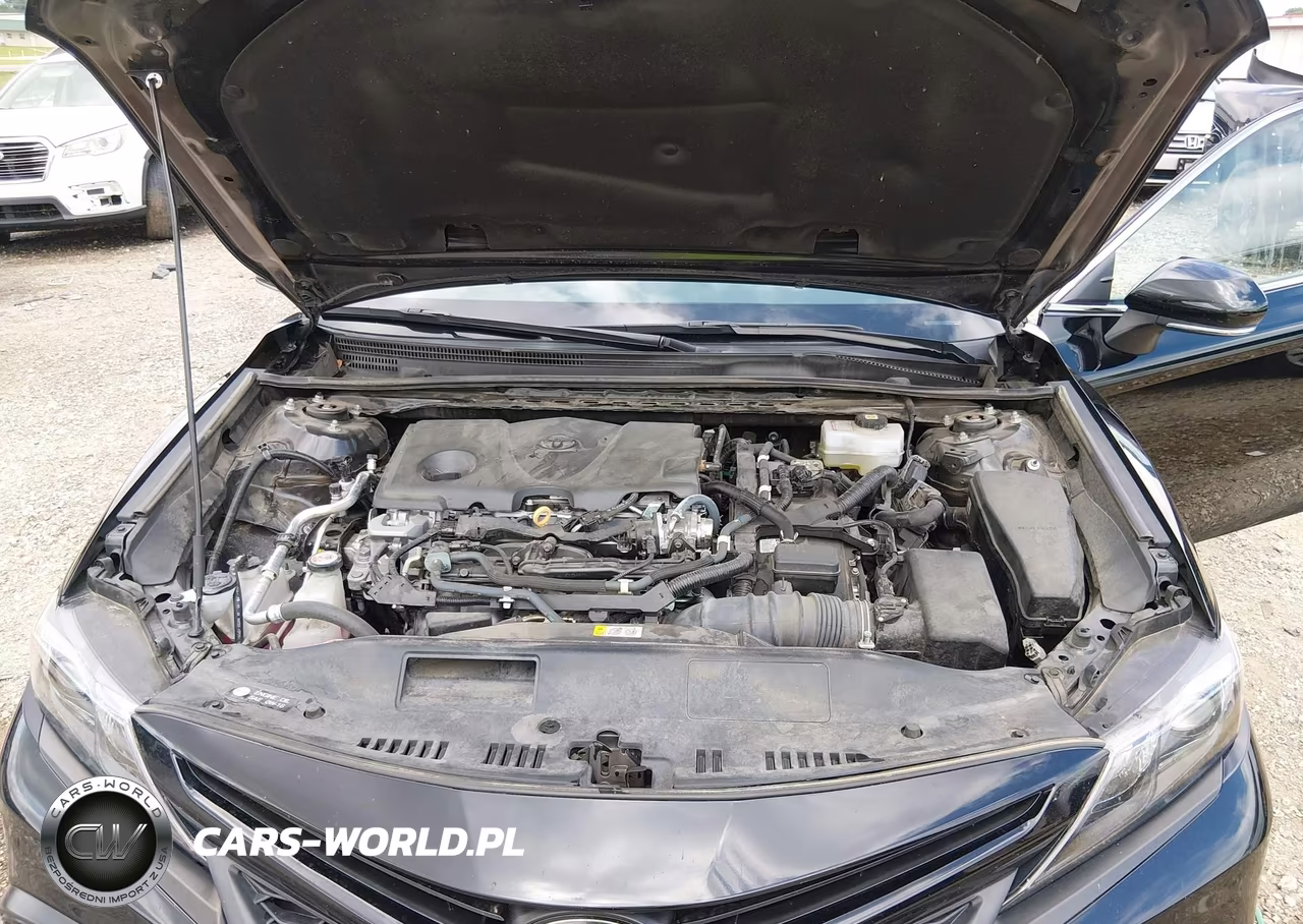 2021 Toyota Camry Se Hybrid VIN:4T1S31AK4MU567022 - 10