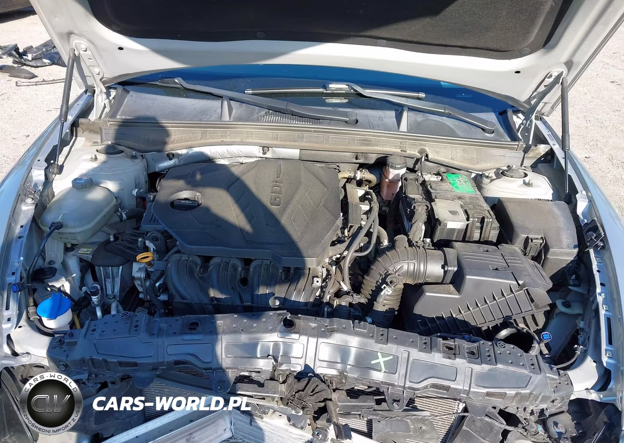 2020 Hyundai Sonata Se VIN:5NPEG4JA3LH061589 - 10