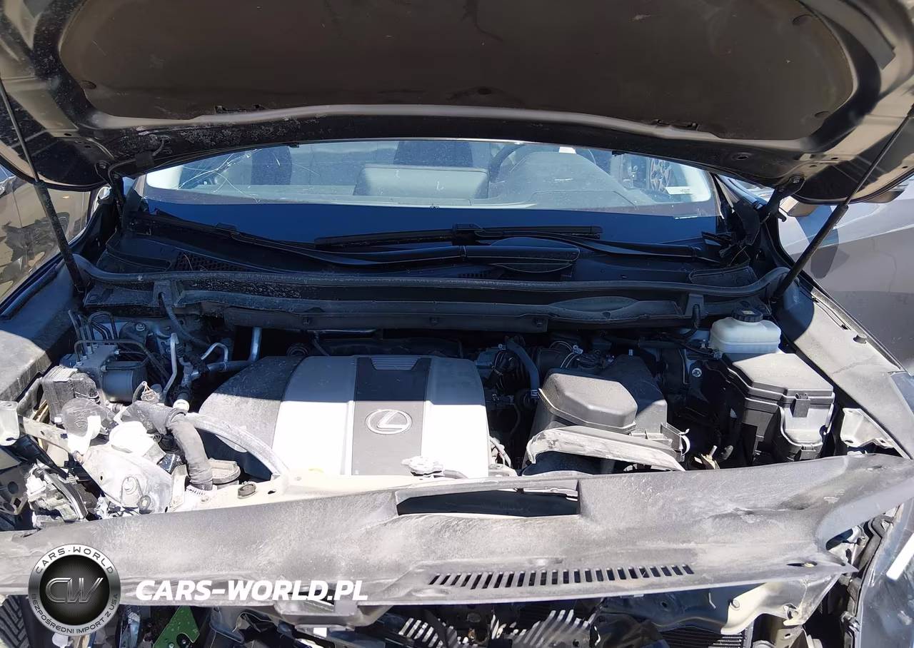2017 Lexus Rx 350 VIN:2T2BZMCA4HC115918 - 10