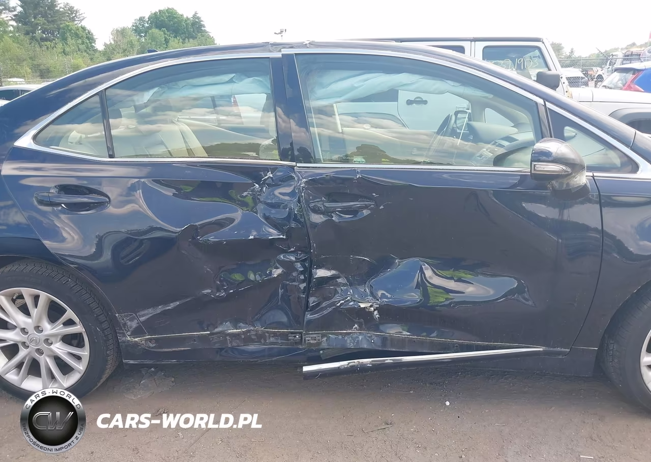 2010 Lexus Hs 250H Premium VIN:JTHBB1BA0A2009302 - 6