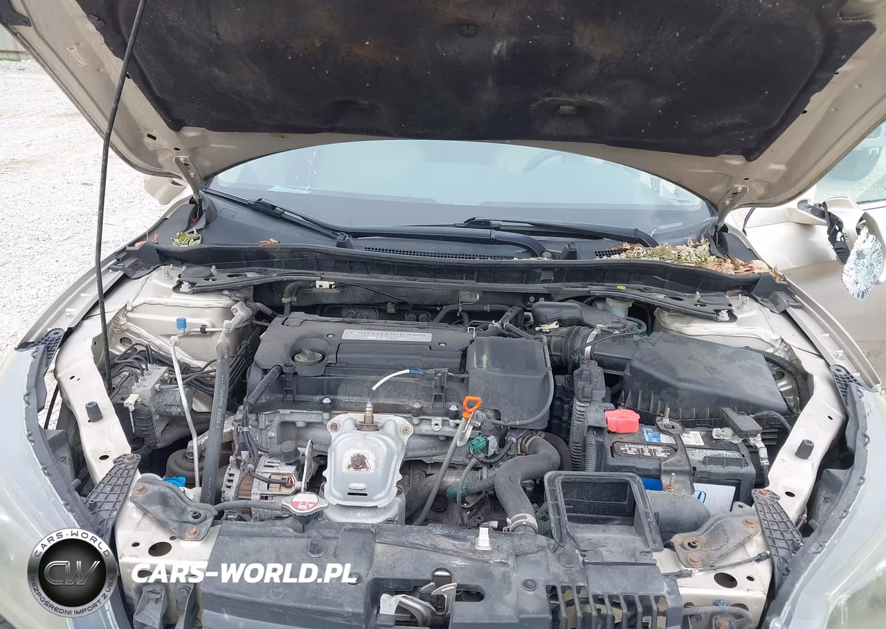 2014 Honda Accord Ex-L VIN:1HGCR2F83EA053354 - 10