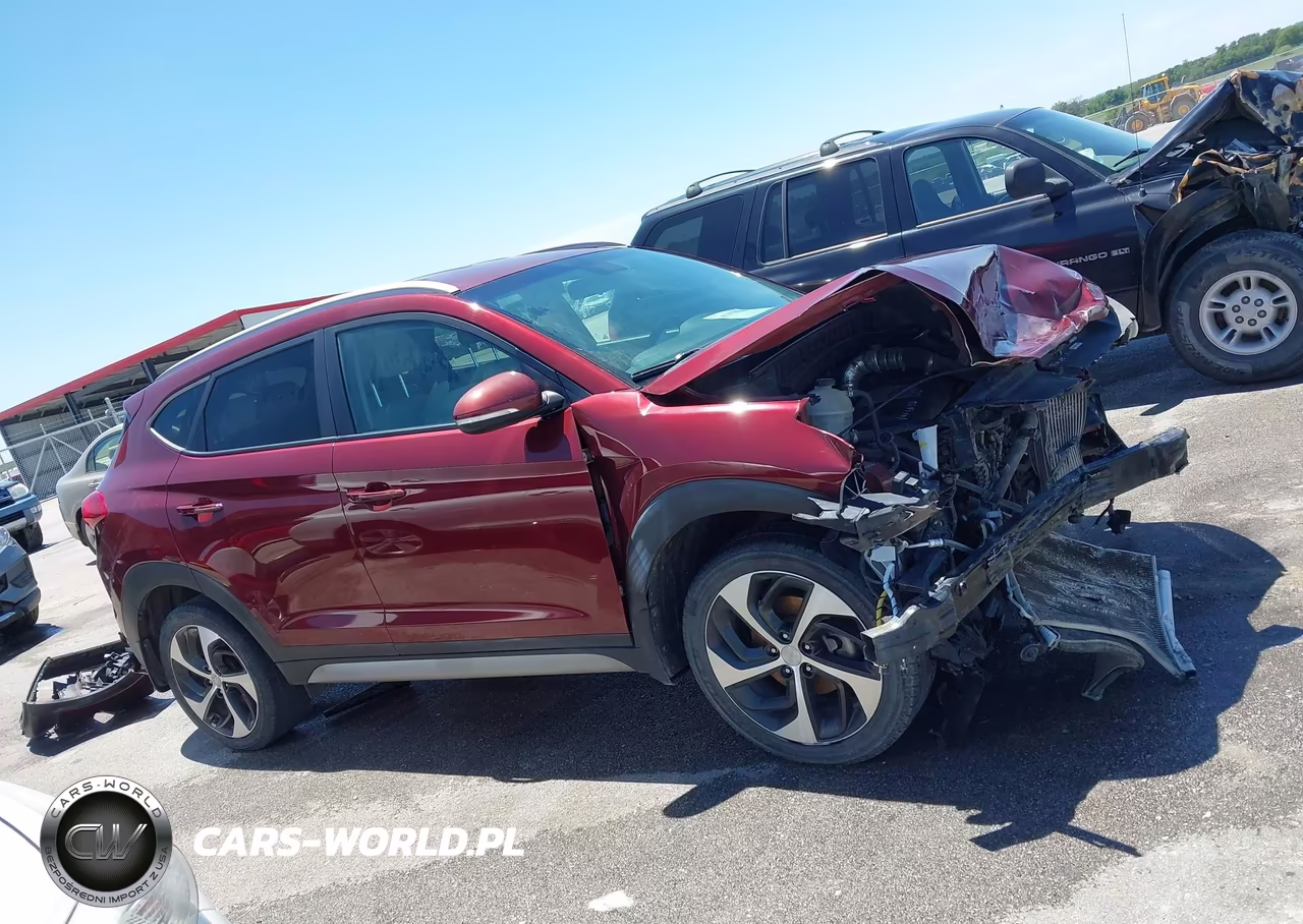 2017 Hyundai Tucson Sport VIN:KM8J3CA29HU313366 - 13