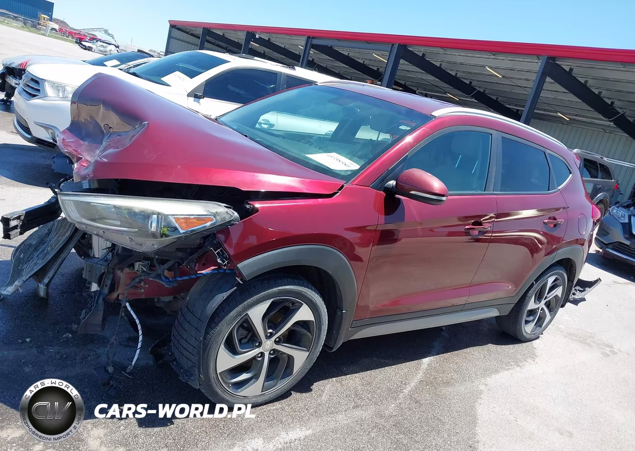 2017 Hyundai Tucson Sport VIN:KM8J3CA29HU313366 - 14