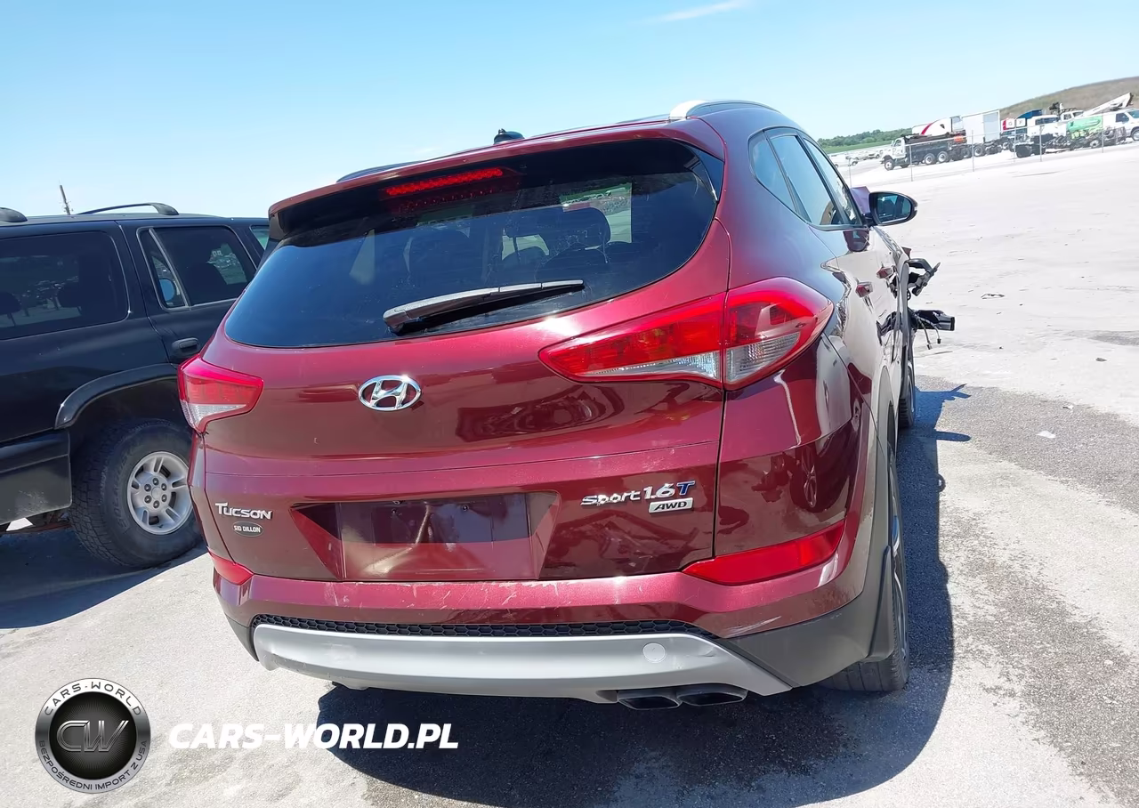 2017 Hyundai Tucson Sport VIN:KM8J3CA29HU313366 - 16