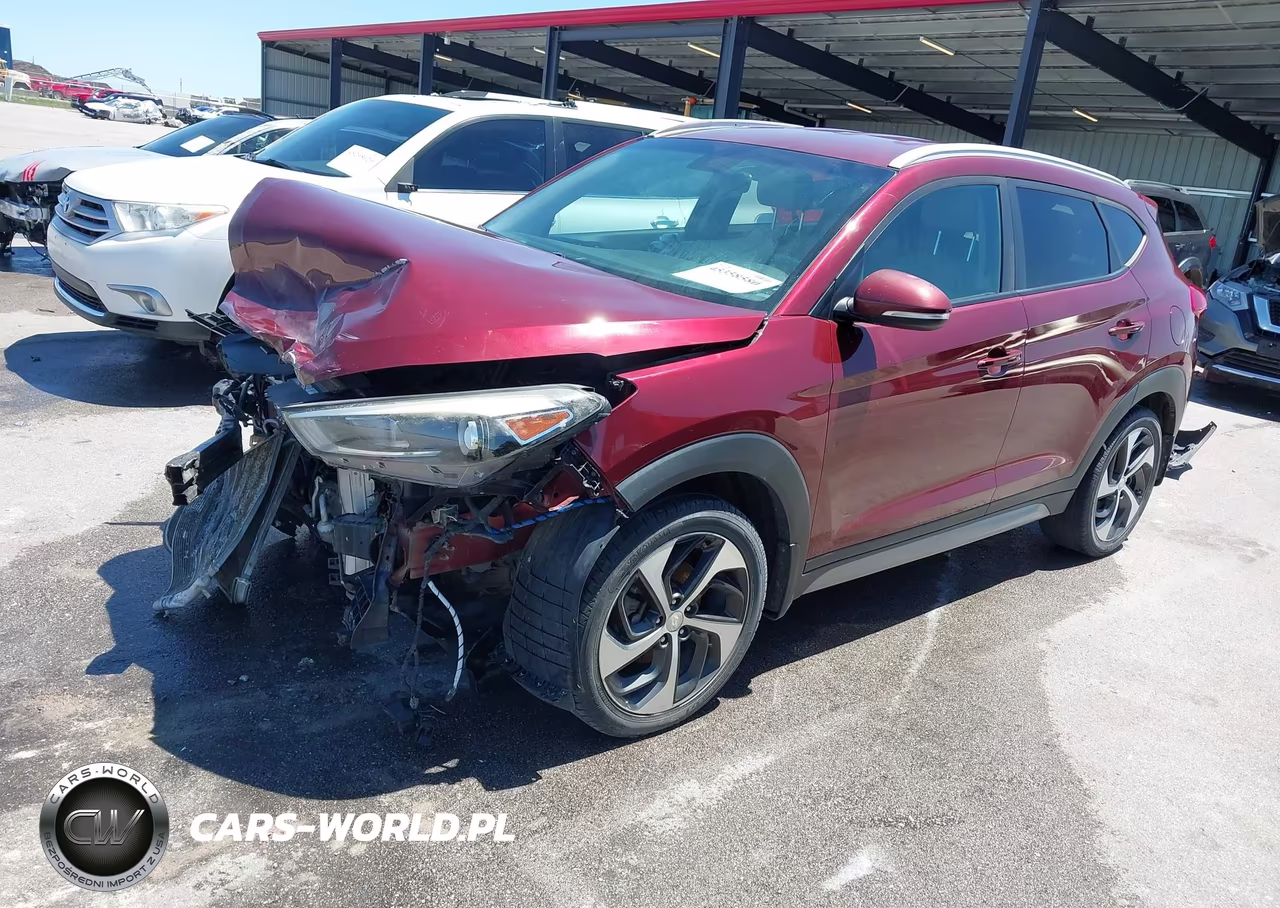 2017 Hyundai Tucson Sport VIN:KM8J3CA29HU313366 - 2