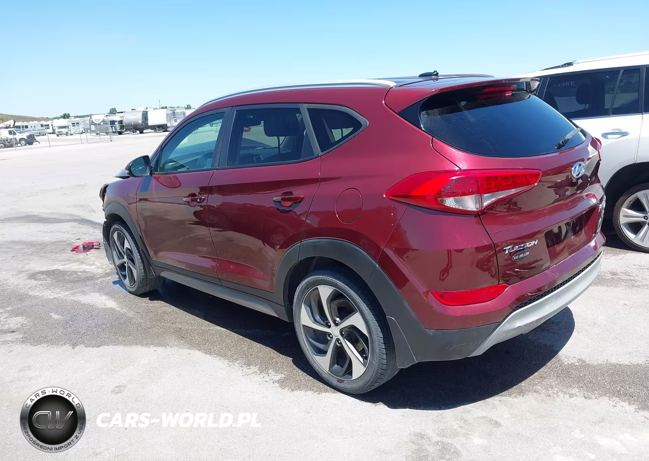 2017 Hyundai Tucson Sport VIN:KM8J3CA29HU313366 - 3