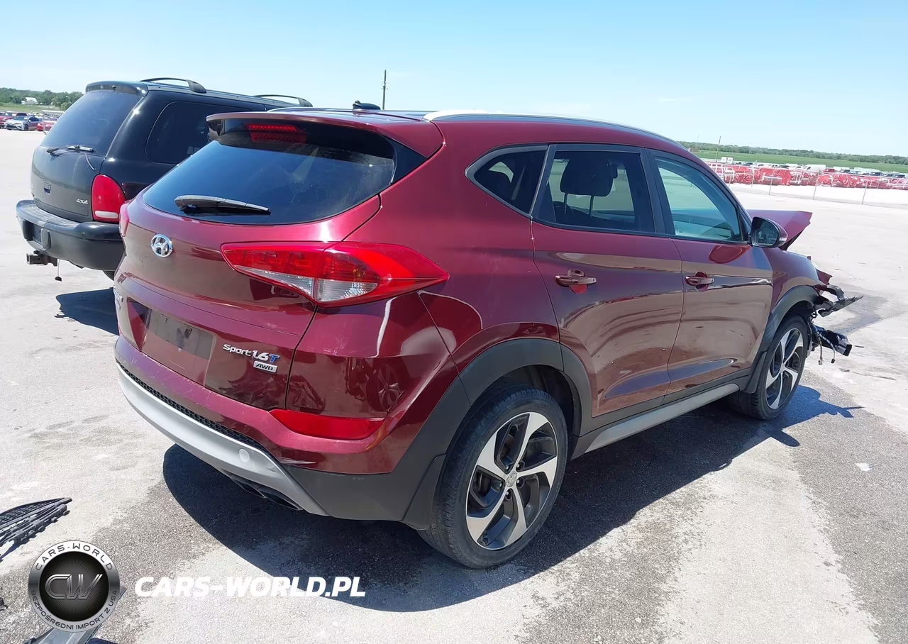 2017 Hyundai Tucson Sport VIN:KM8J3CA29HU313366 - 4