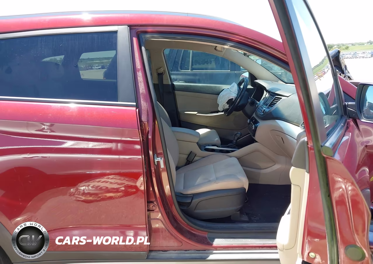 2017 Hyundai Tucson Sport VIN:KM8J3CA29HU313366 - 5