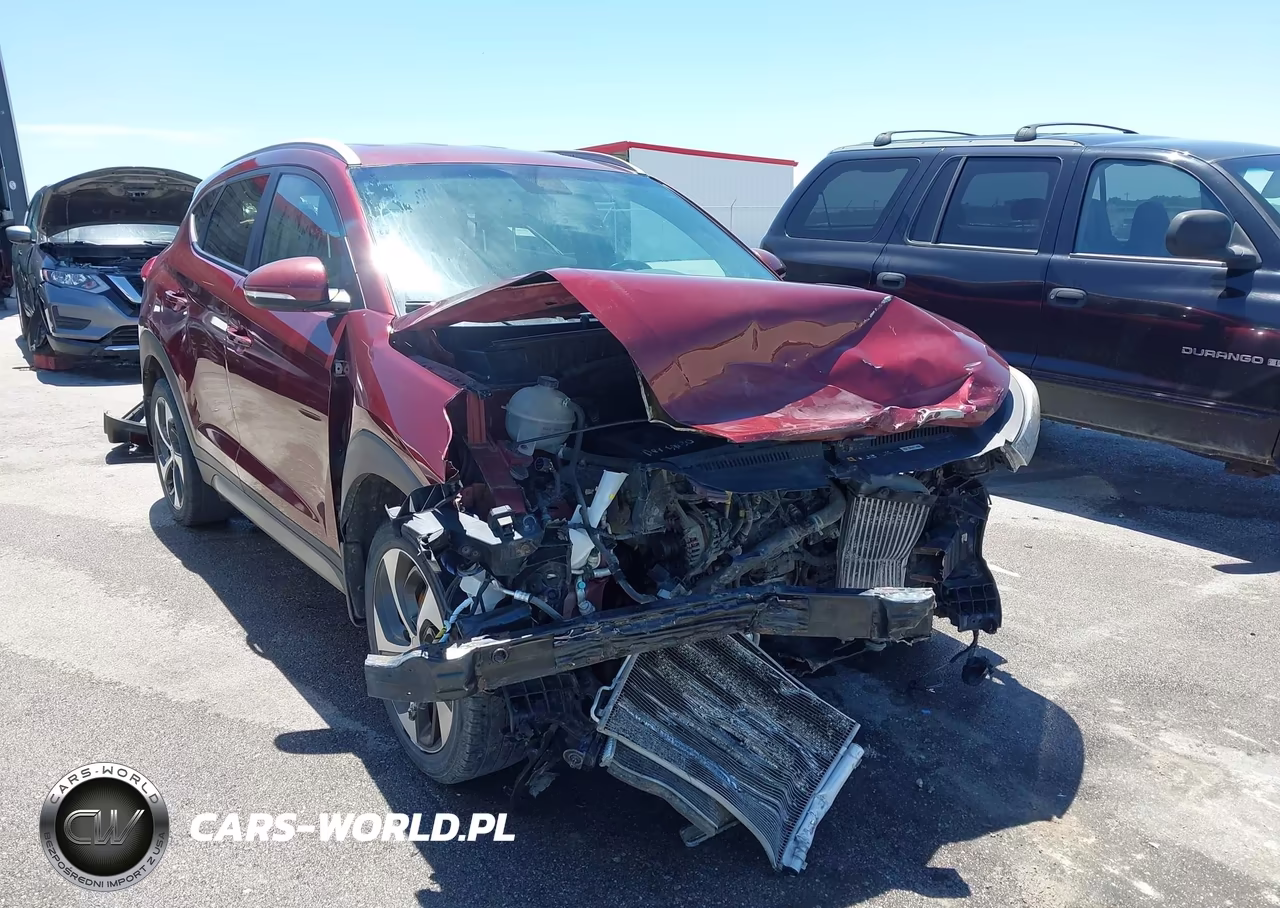 2017 Hyundai Tucson Sport VIN:KM8J3CA29HU313366 - 6