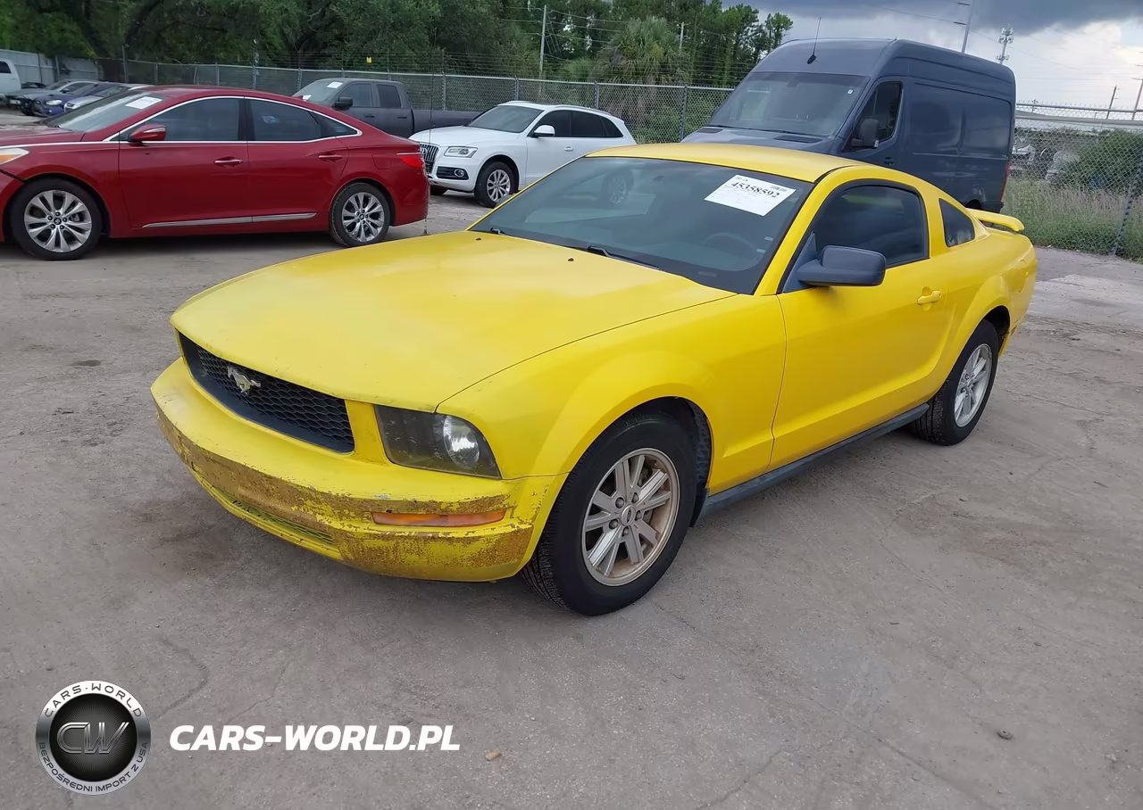 2005 Ford Mustang V6 Deluxe-V6 Premium VIN:1ZVFT80N755175249 - 2