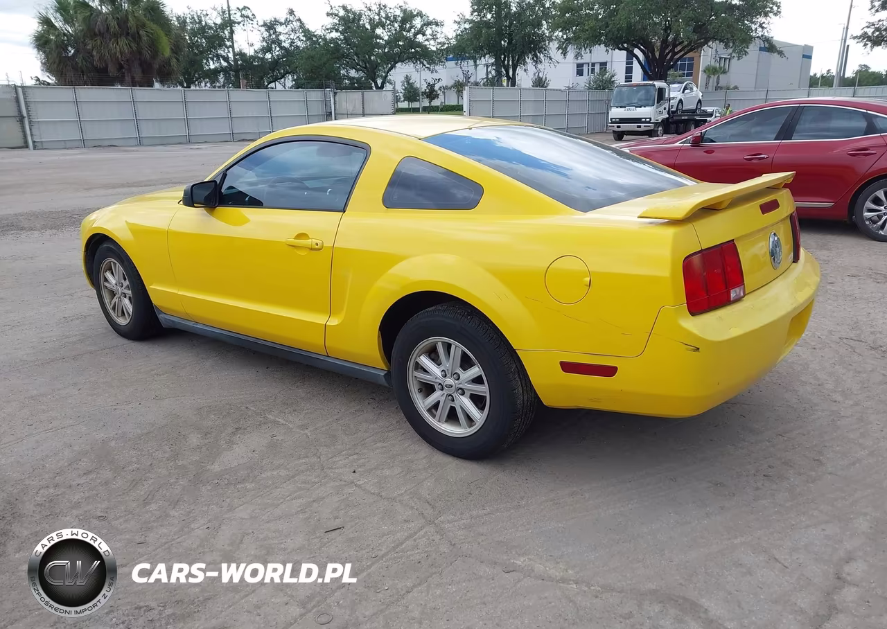 2005 Ford Mustang V6 Deluxe-V6 Premium VIN:1ZVFT80N755175249 - 3