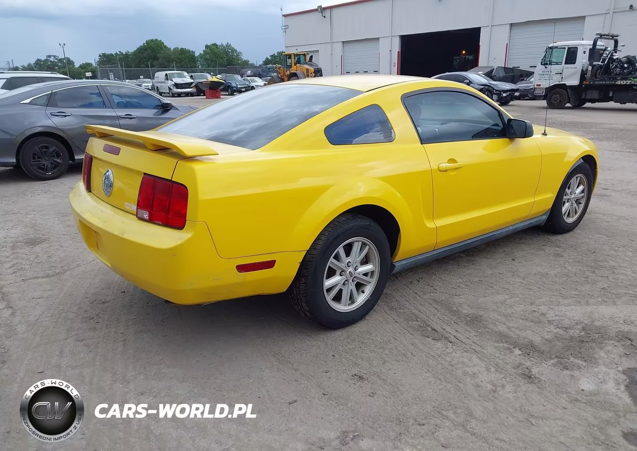 2005 Ford Mustang V6 Deluxe-V6 Premium VIN:1ZVFT80N755175249 - 4