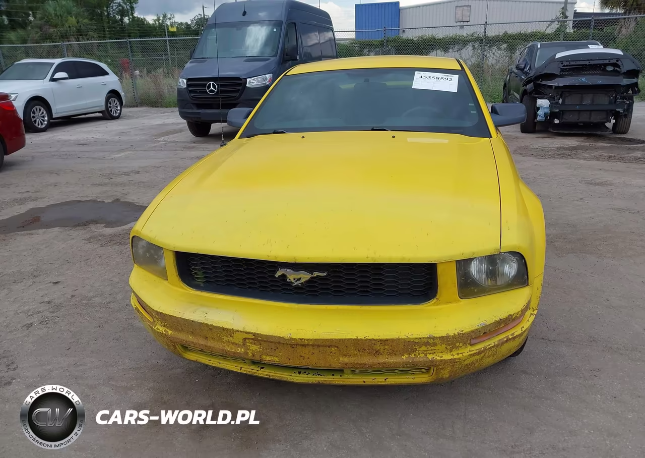 2005 Ford Mustang V6 Deluxe-V6 Premium VIN:1ZVFT80N755175249 - 6