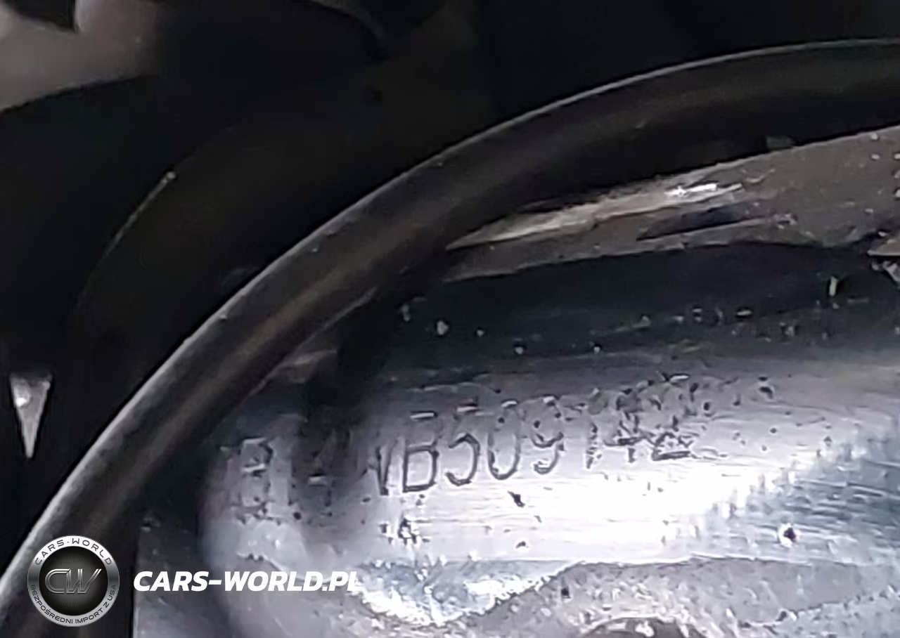 1998 Kawasaki Zg1200 B VIN:JKAZG9B14WB509142 - 10