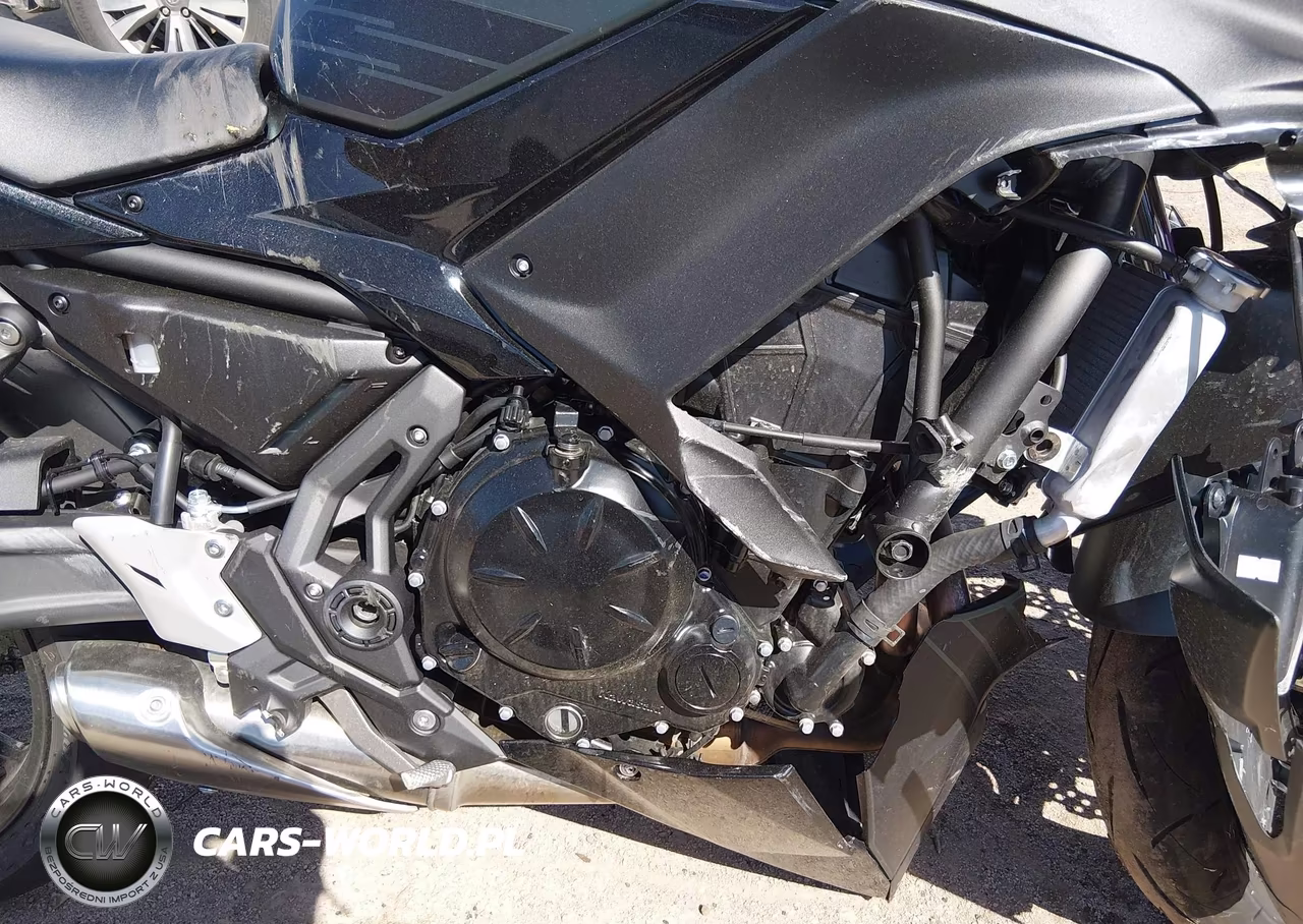 2025 Kawasaki Ex650 P VIN:ML5EXEP15SDAF8994 - 8