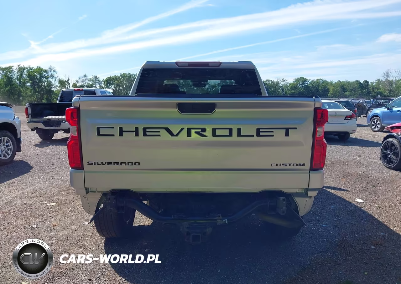 2020 Chevrolet Silverado 1500 4Wd Short Bed Custom VIN:3GCPYBEKXLG417784 - 17