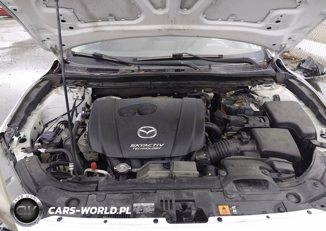 2015 Mazda Mazda3 S Touring VIN:JM1BM1V36F1233048 - 10