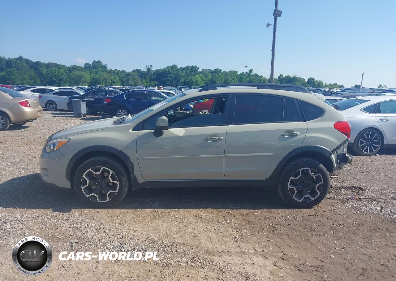 2013 Subaru Xv Crosstrek 2.0I Premium VIN:JF2GPAVC9D2890674 - 14