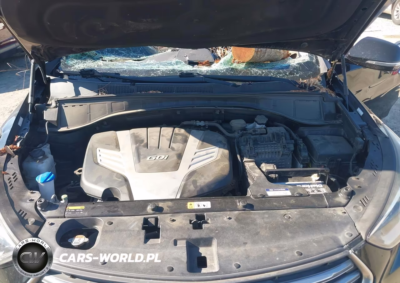 2017 Hyundai Santa Fe Se VIN:KM8SNDHF1HU253046 - 10