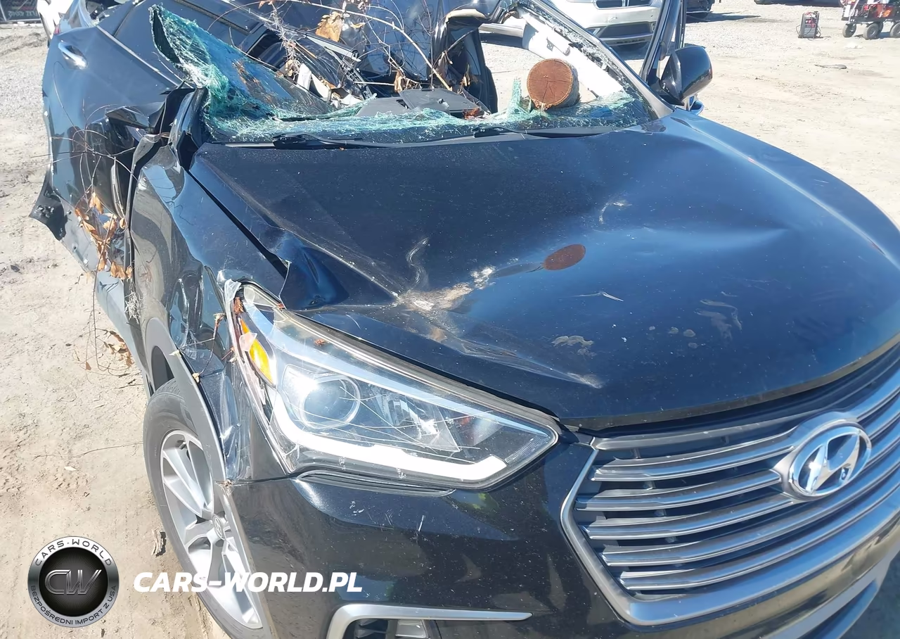 2017 Hyundai Santa Fe Se VIN:KM8SNDHF1HU253046 - 17